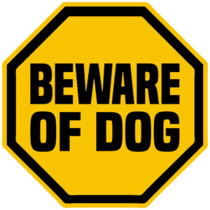 burglars get an invitation to rob you when your window has beware of dog sign. Stop thieves with security film